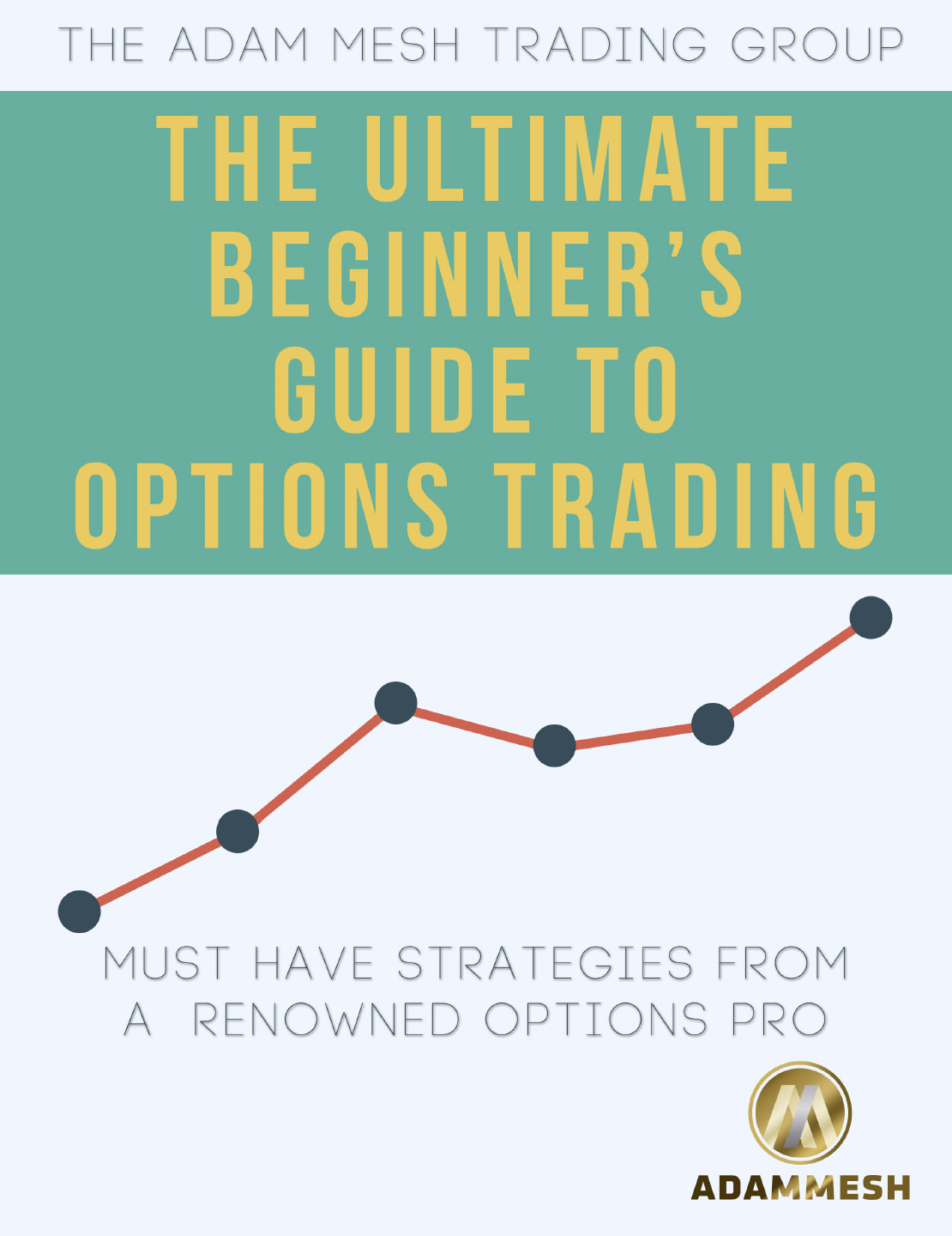 A cover for a report called 'The Ultimate Beginners Guide to Options Trading'